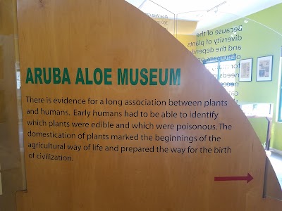 Photos of Aruba Aloe Museum Factory and Store