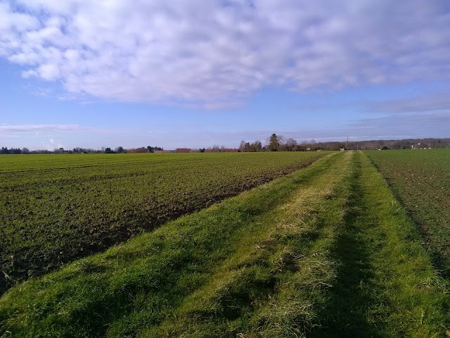 Montbouy