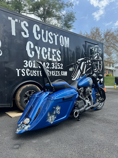 TS Custom Cycles - Thumbnail