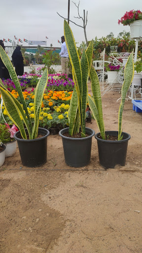 Gallery image 58