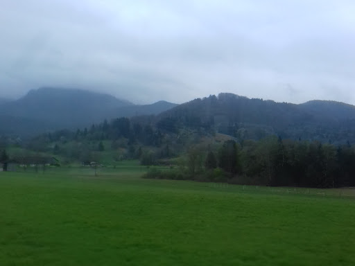 Islandpferdehof Blauer Reiter