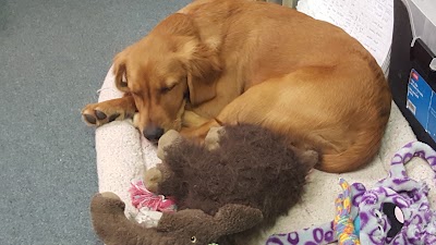 Photos of Mountain View Veterinary Health Center: North Logan Hospital