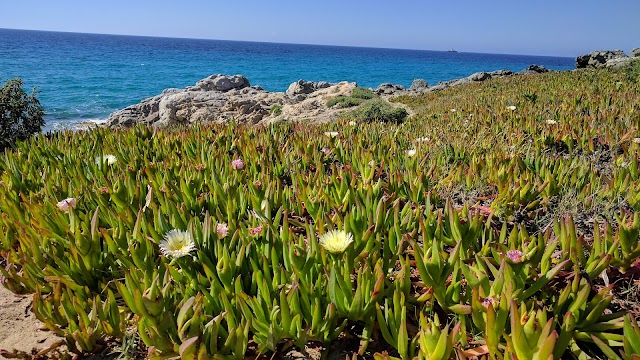 Plage de Bodri