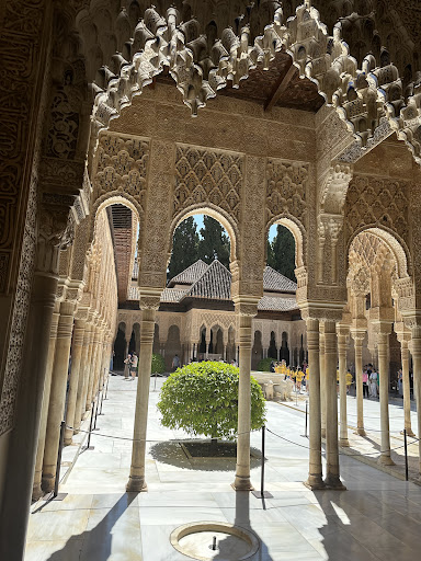 Modesto Visita guidata Alhambra - Thumbnail