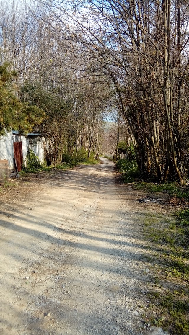 National Park of Cilento and Vallo di Diano
