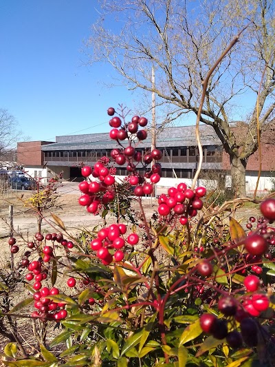 Wicomico Public Libraries - Downtown Branch