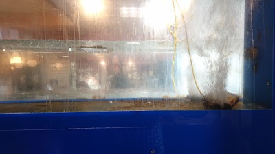 Photos of 回転寿司 まぐろ亭 郡山八山田店