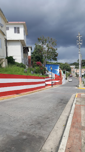 Bandera de Héctor PR Hormigueros - Thumbnail