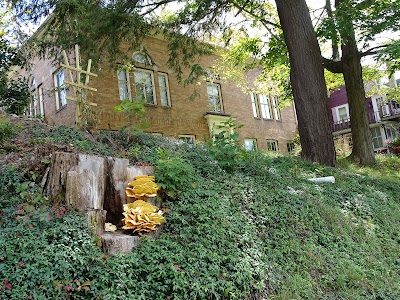 Marion H. Skidmore Library