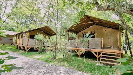 Ludo Camping | Pausado