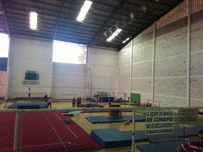 Photos of Gimnasio 1, Villa Olimpica
