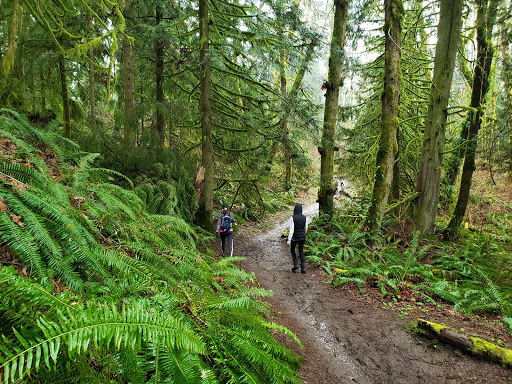 Tiger Mountain Trailhead