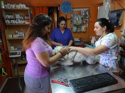 Photos of Master Pet Veterinary Clinic