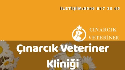 Çınarcık Veteriner Kliniği