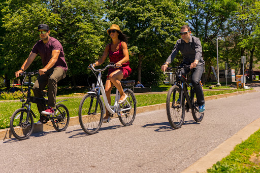 Erikson Bikes - Visual
