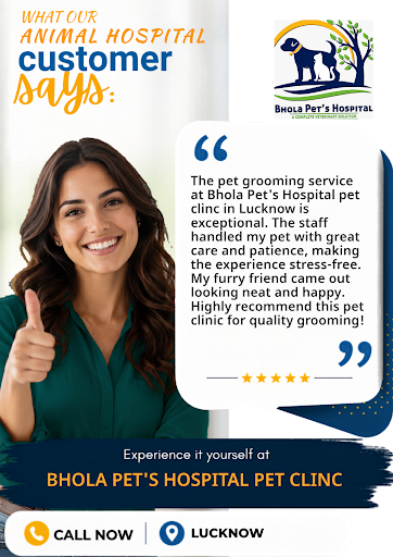 Bhola Pet's Hospital pet clinic is your trusted destination for pet grooming and veterinary care.… post image