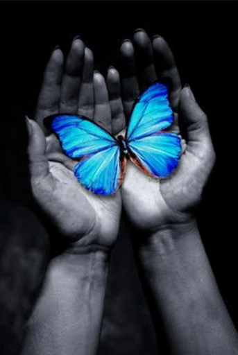Terapias Naturales La Mariposa Azul - Thumbnail