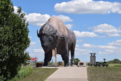 National Buffalo Museum