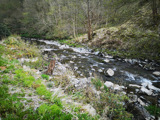 Ceiriog Valley Park - Thumbnail
