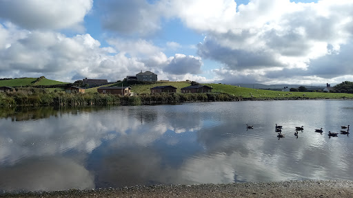 Tarnside Park - Visual