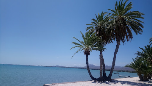 San Lucas Cove RV Park - Thumbnail