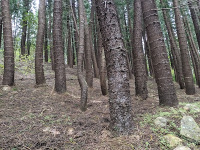 Waihee Ridge Trail