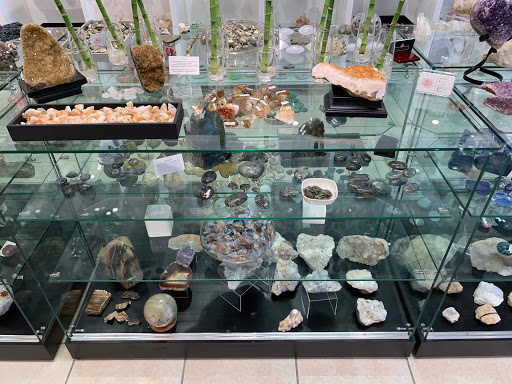 The Harmony Store - Visual
