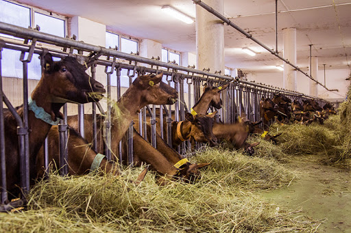 Società agricola Mont Blanc - Thumbnail