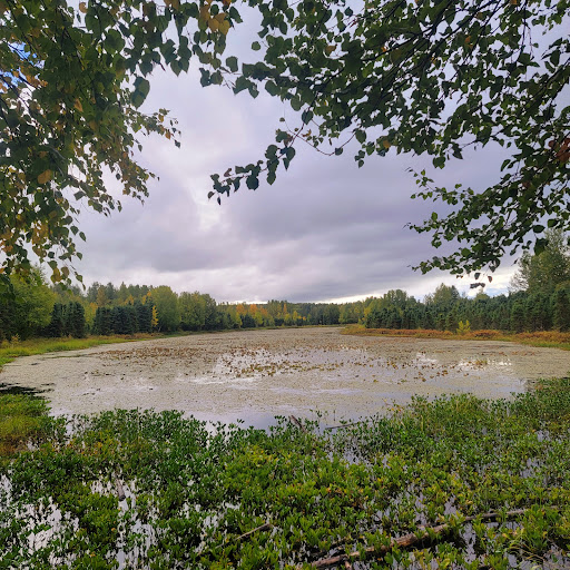 Pfleiger Park - Visual
