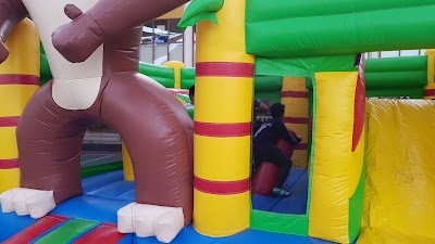 Photos of Ambassador School