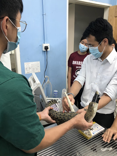 My Animal Clinic & Surgery
