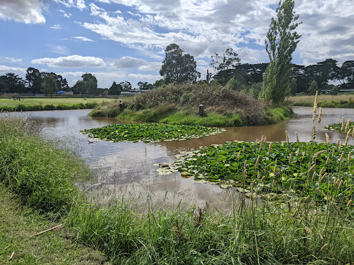 Whittlesea Park - Thumbnail