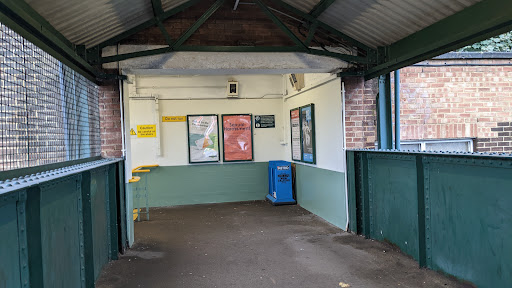Waddon - Visual
