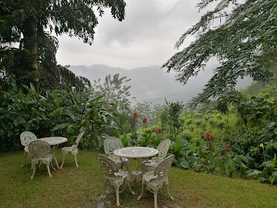 Photos of Hotel Breeta's Garden