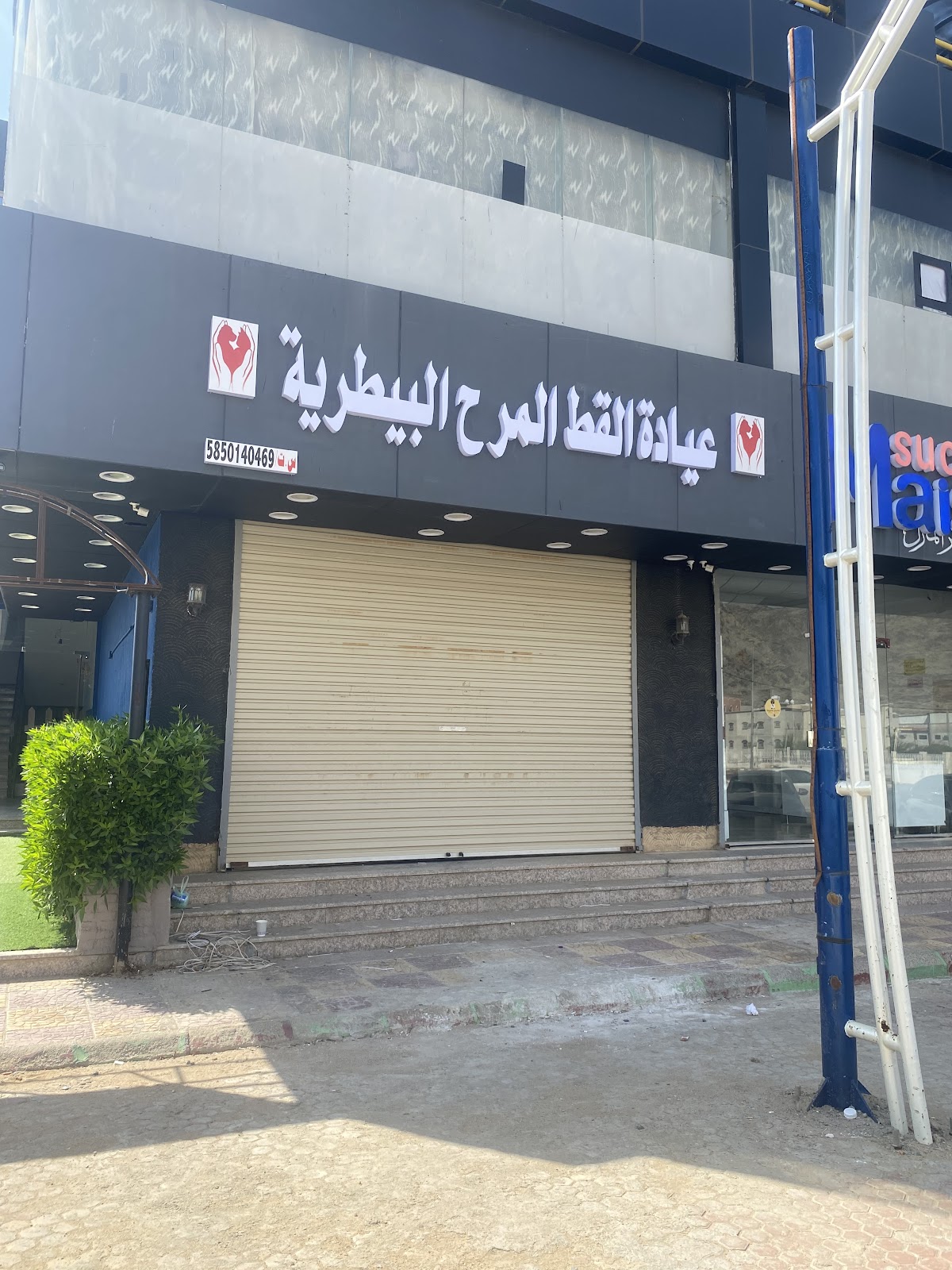 عيادة القط المرح للحيوانات الأليفة - صورة 2