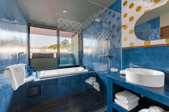 HOTEL PUG SEAL POLANCO ANATOLE FRANCE by null