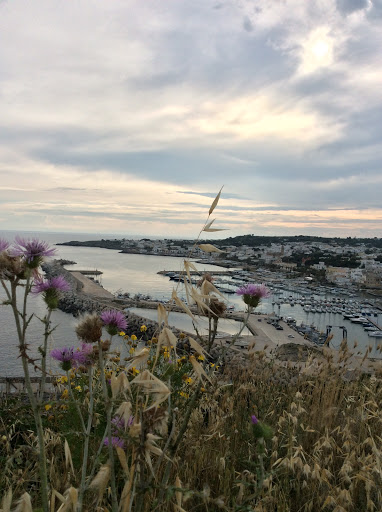 Pagina FB Santa Maria di Leuca - Thumbnail