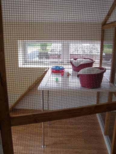 Aristocats Luxury Cattery - Thumbnail