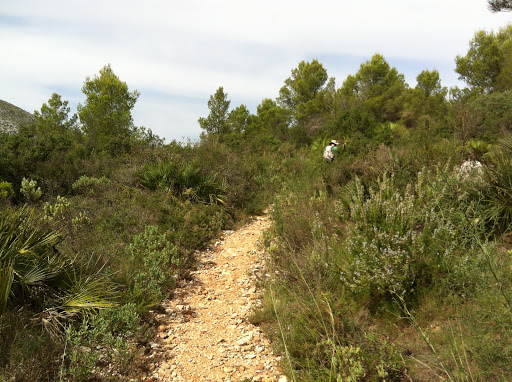 Castell d'Ambra - Thumbnail