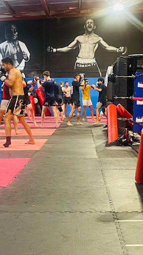 Cardioflex MMA Gym - Thumbnail