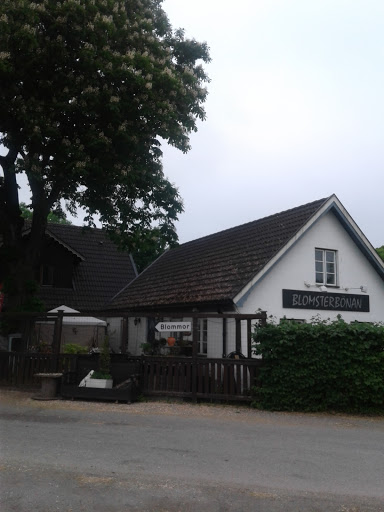 Blomsterbönan - Thumbnail