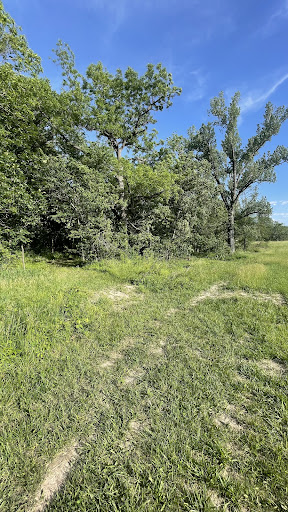 LINN COUNTY BIRD PRESERVE - Thumbnail