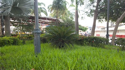 Photos of Hotel Vanessa