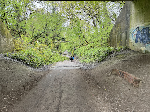 Worth Way Country Park Gallery - United Kingdom
