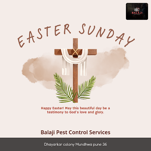 Good Service post image