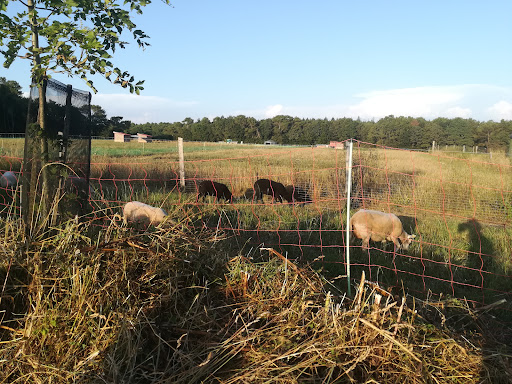 La ferme de Trévero - Thumbnail
