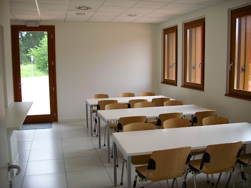 Scuole - Fenice Junior Academy - Thumbnail