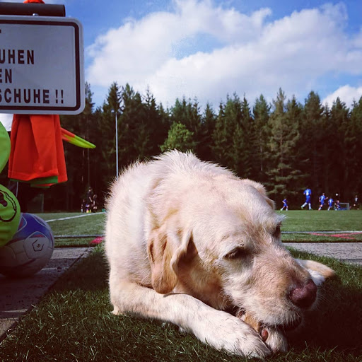 Sportplatz FC Kappel - Thumbnail