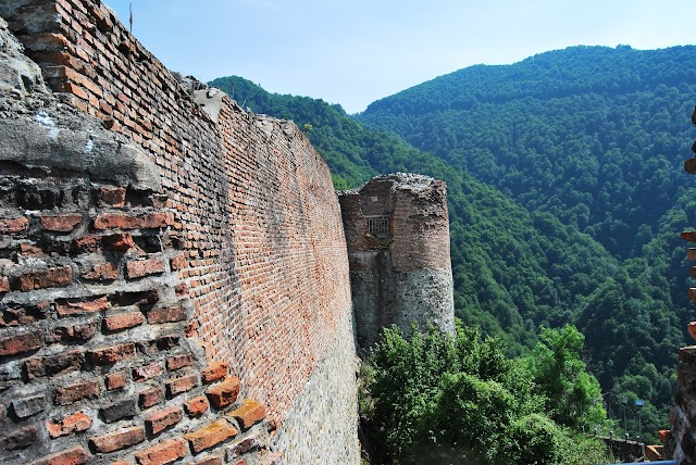 Poenari Kalesi