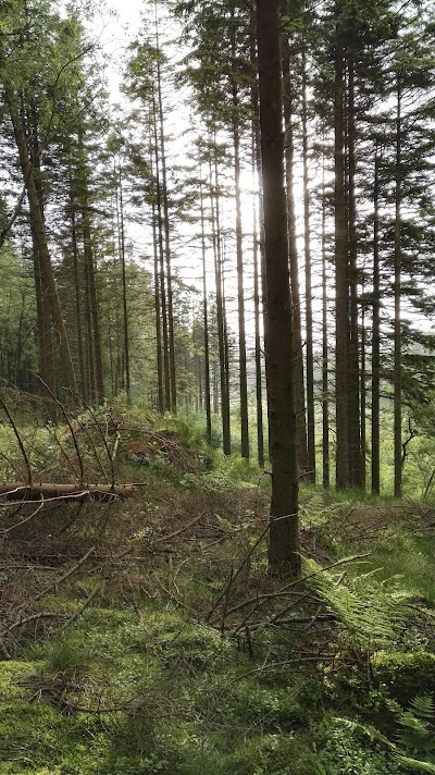 Photos of Melsheinuten